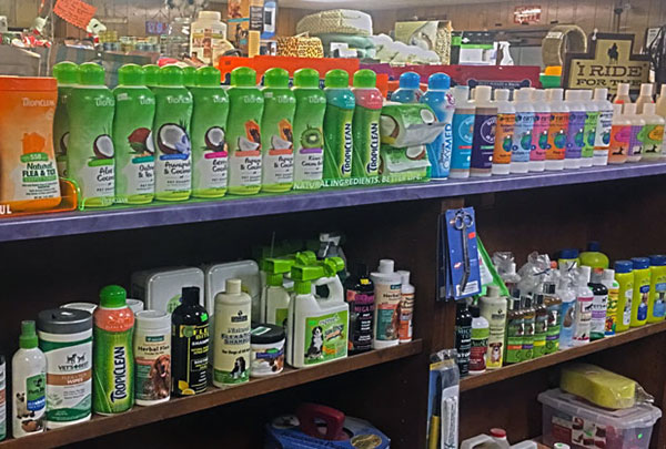 Cat supplies in Sebastopol